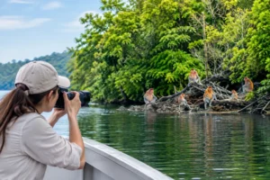 What You Can See on a Sabah Wildlife Cruise